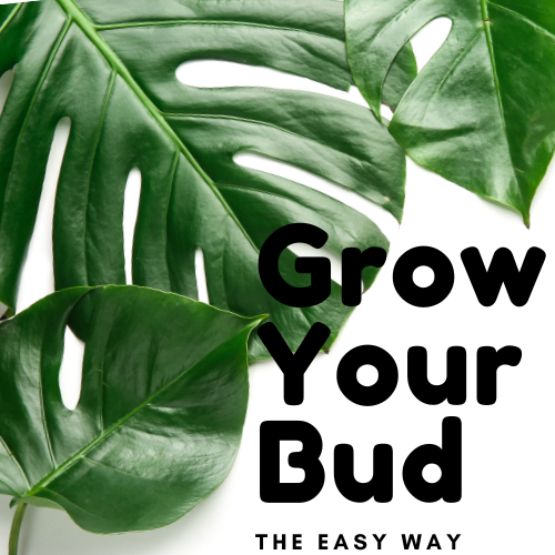 Grow your bud logo